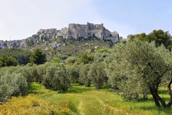 les meilleurs exercices de fitness pour tonifier vos fessiers