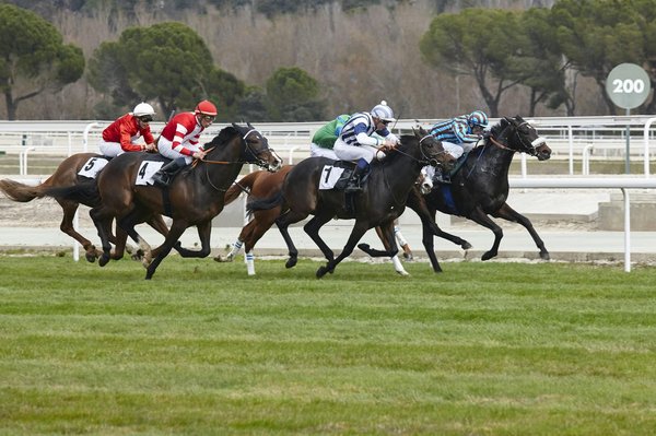 Maîtriser le turf : stratégies gagnantes et astuces